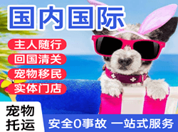 黑河机场空运国际宠物托运 【国